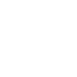 Career DNA System Logo